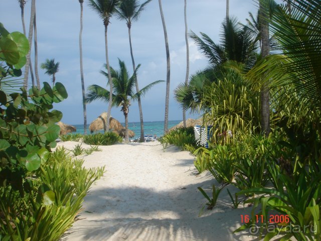 фото Melia Caribe Beach Resort