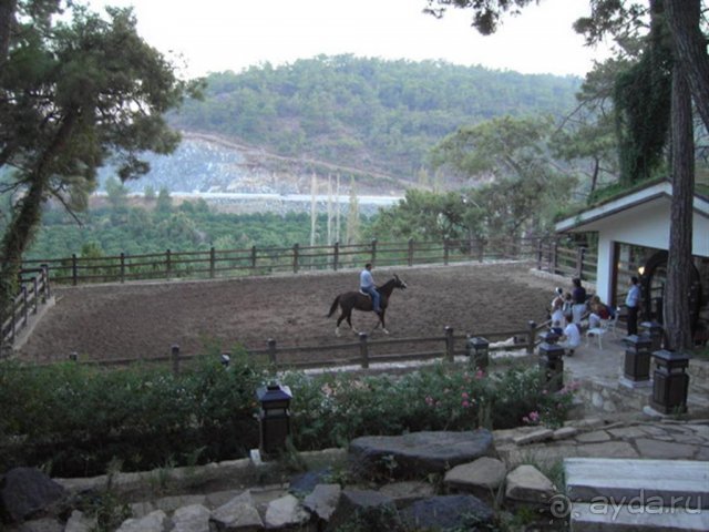 ранчо с лошадками!