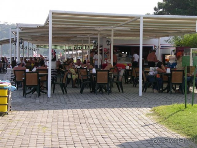 "Бикини бар"