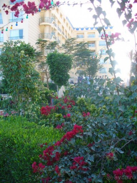 фото King Tut Aqua Park Resort 