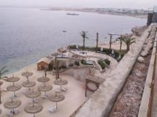 Большой, красивый и очень вкусно кормят!