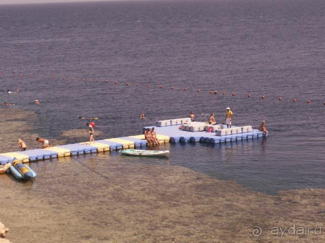 Большой, красивый и очень вкусно кормят!