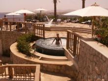 Большой, красивый и очень вкусно кормят!