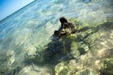 обязательно туда вернусь :)