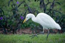 обязательно туда вернусь :)