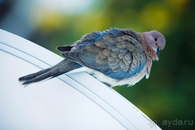 обязательно туда вернусь :)