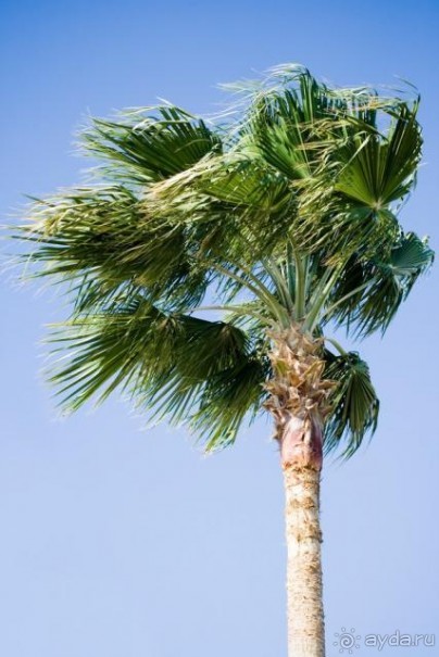 обязательно туда вернусь :)