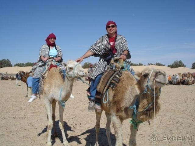 Тунис -страна контрастов