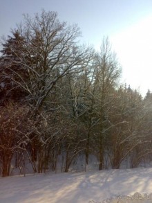 КАК ОТДОХНУТЬ В ТРОПИКАНЕ НА 30 ТЫС