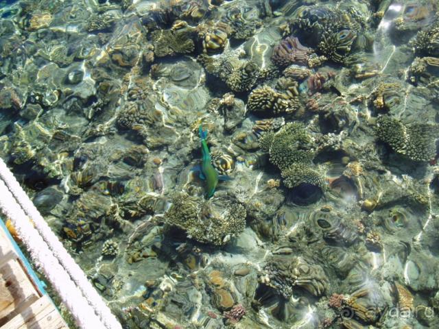 Нам отель снится каждый день!! Хотим обратно!!!