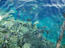 Нам отель снится каждый день!! Хотим обратно!!!