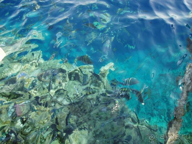 фото Amphoras Blu Hotel 