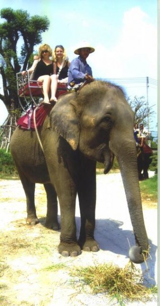 Познакомились с клевыми американцами)))