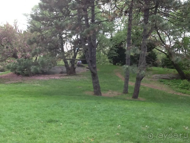 США – С ПЕРВОГО ВЗГЛЯДА