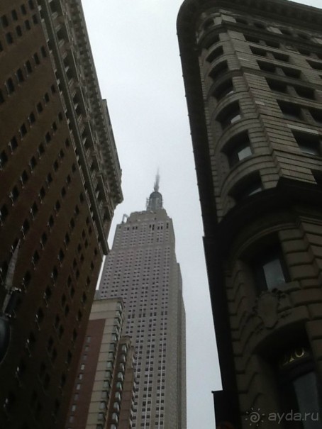 США – С ПЕРВОГО ВЗГЛЯДА