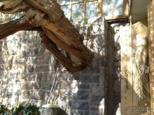 Исламская  Республика Иран