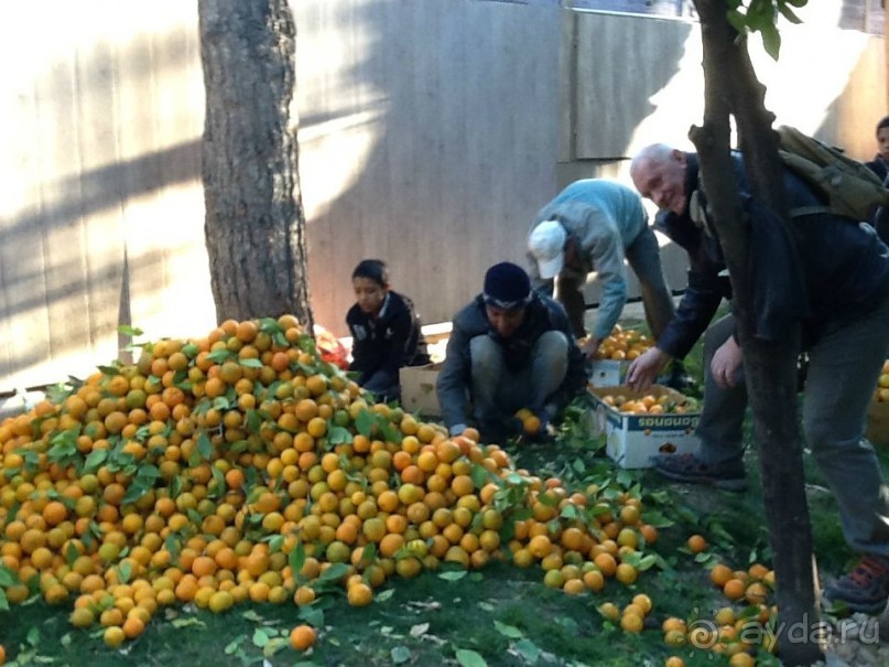 Исламская  Республика Иран