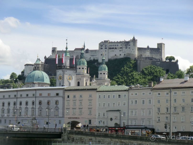 Альпенгольд 2012