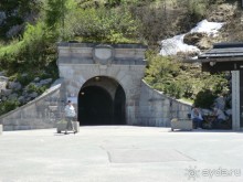 Альпенгольд 2012