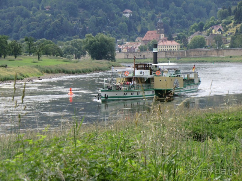 Альпенгольд 2012