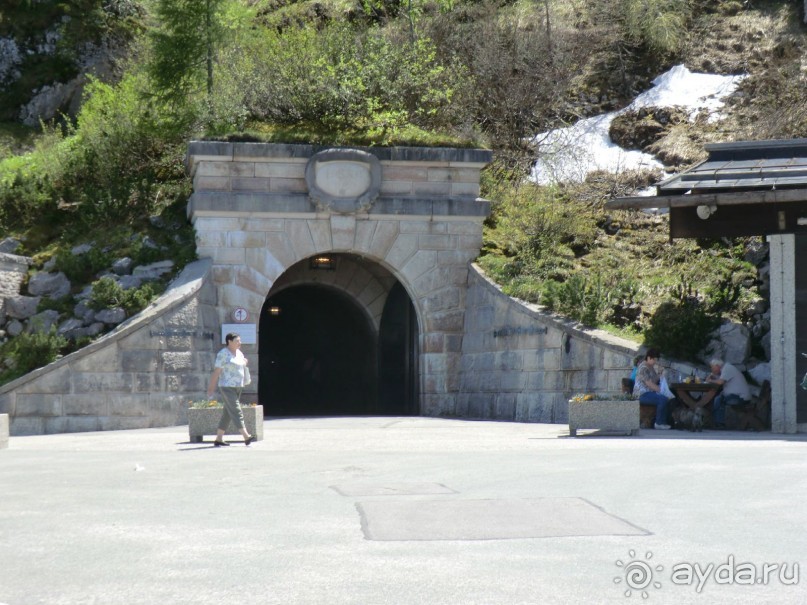 Альпенгольд 2012