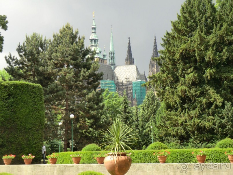 Альпенгольд 2012