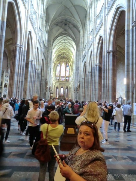 Альпенгольд 2012