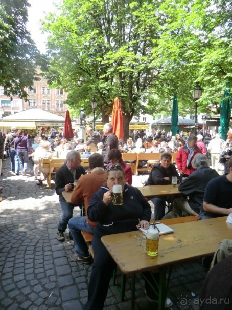 Альпенгольд 2012