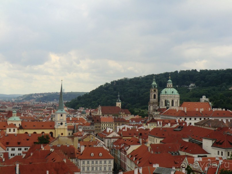 Альпенгольд 2012