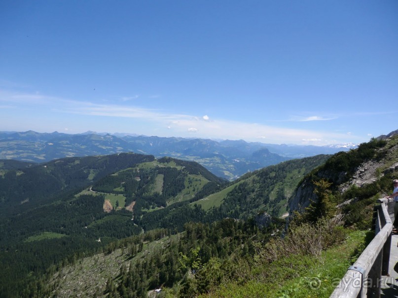 Альпенгольд 2012