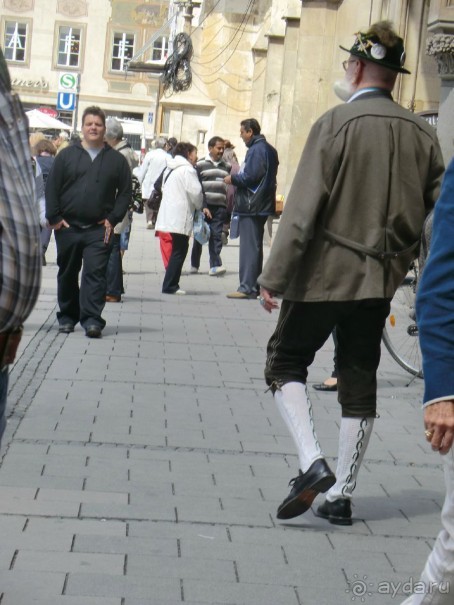 Альпенгольд 2012