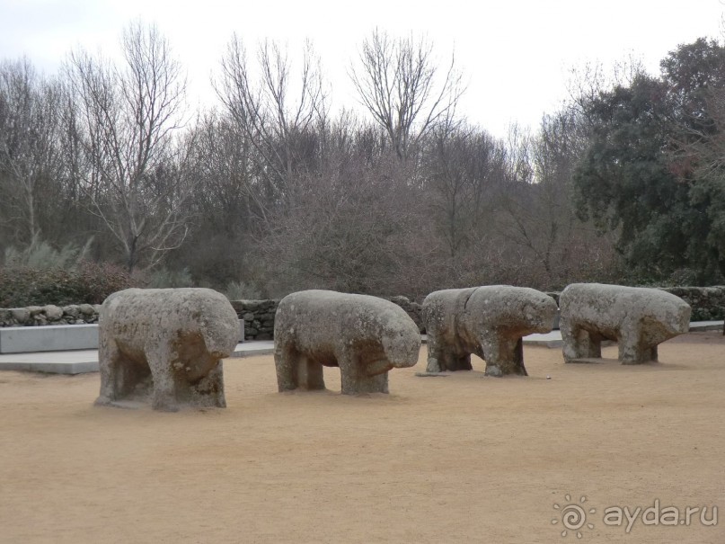 Быки Гисандо