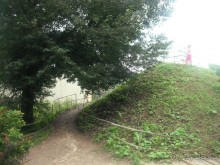 Аптекарский огород