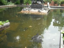 Аптекарский огород