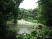 Аптекарский огород