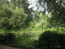 Аптекарский огород