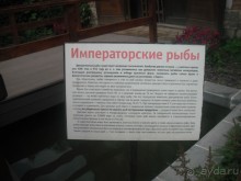 Аптекарский огород