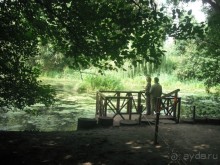 Аптекарский огород