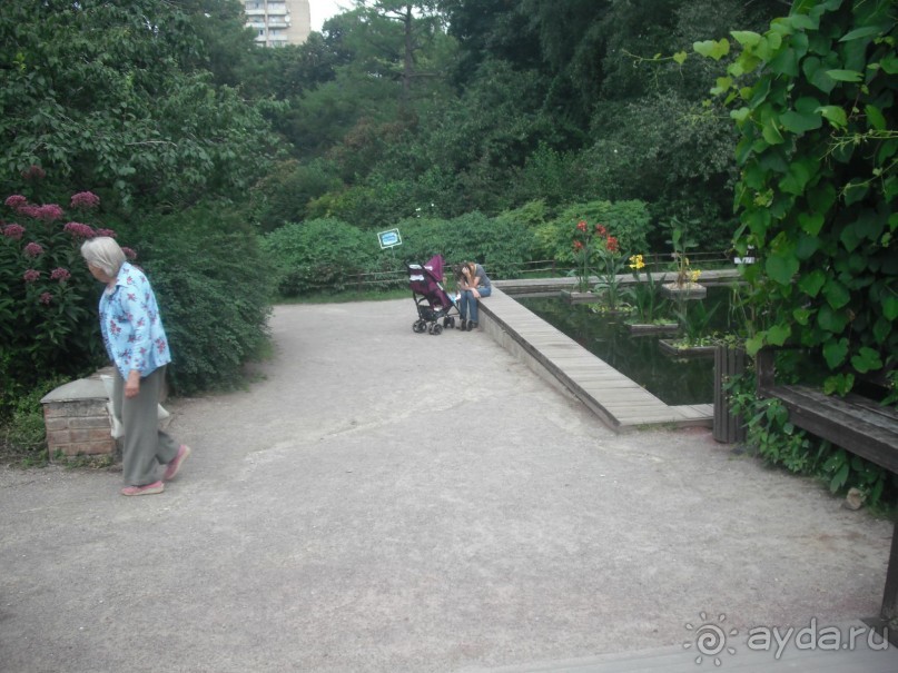 Аптекарский огород