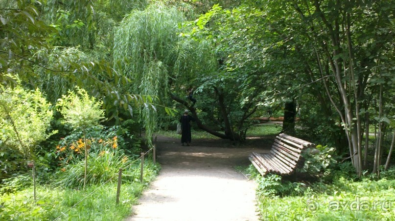 Аптекарский огород