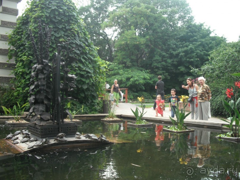 Аптекарский огород