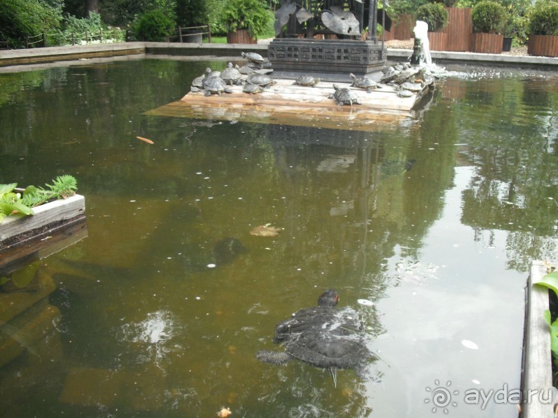 Аптекарский огород