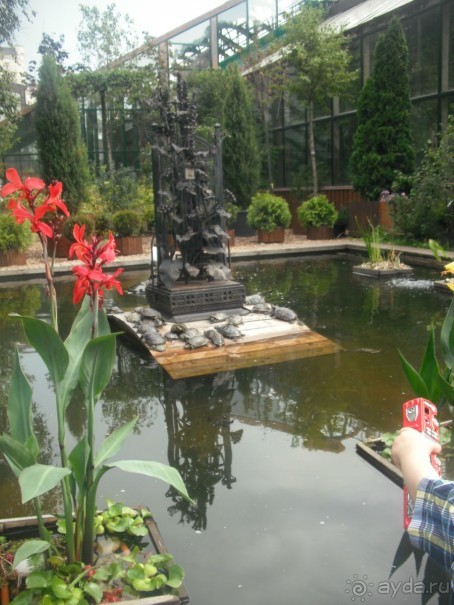 Аптекарский огород