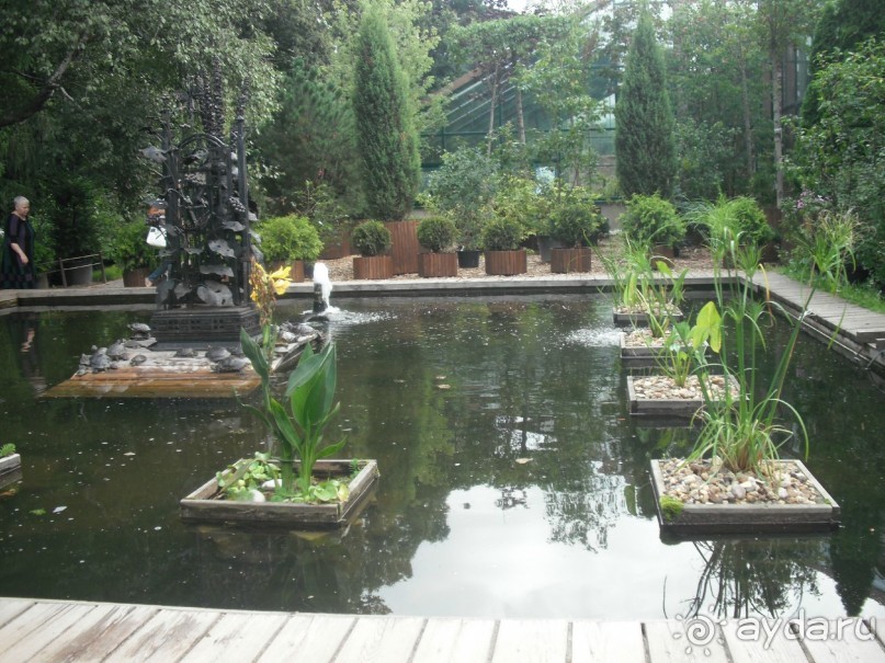 Аптекарский огород