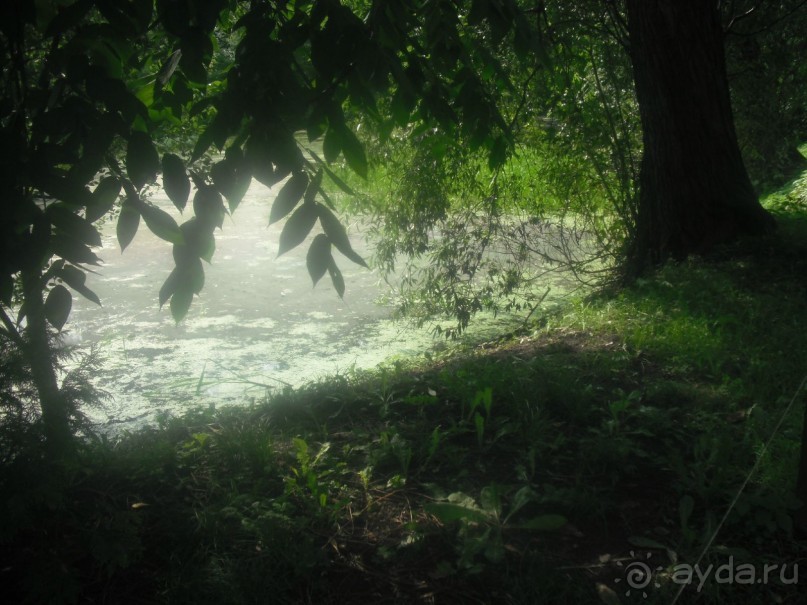 Аптекарский огород