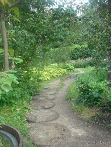 Аптекарский огород