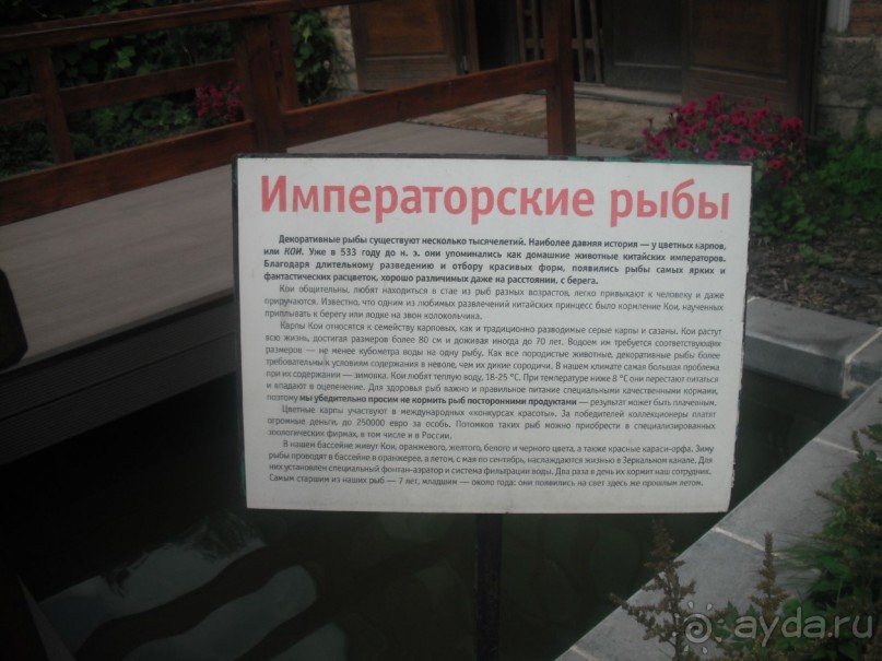 Аптекарский огород