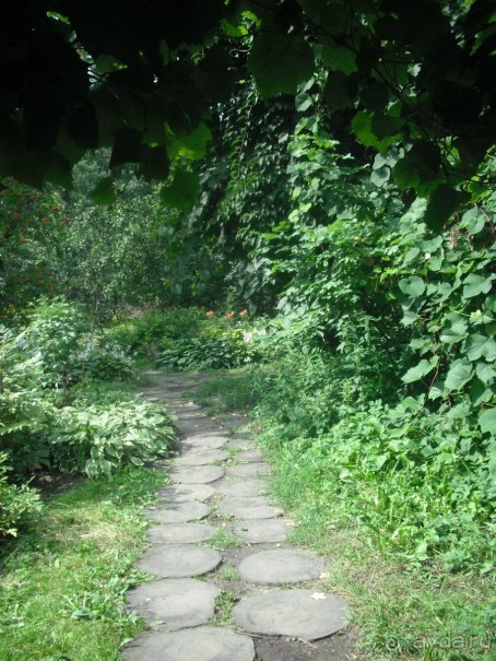 Аптекарский огород