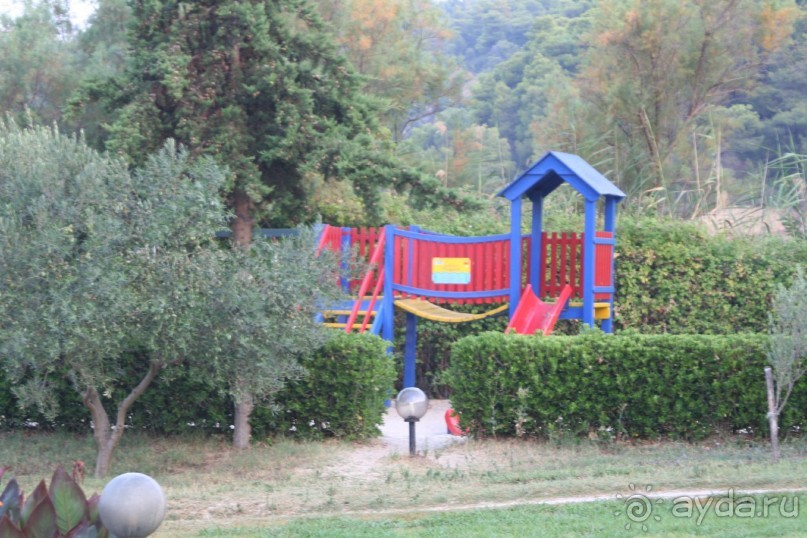 Отель в бору