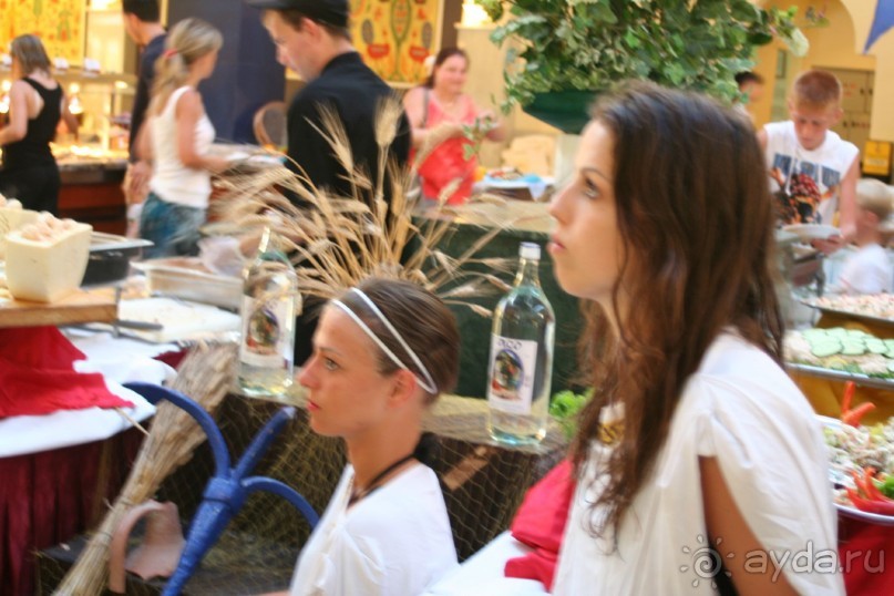 Отель в бору